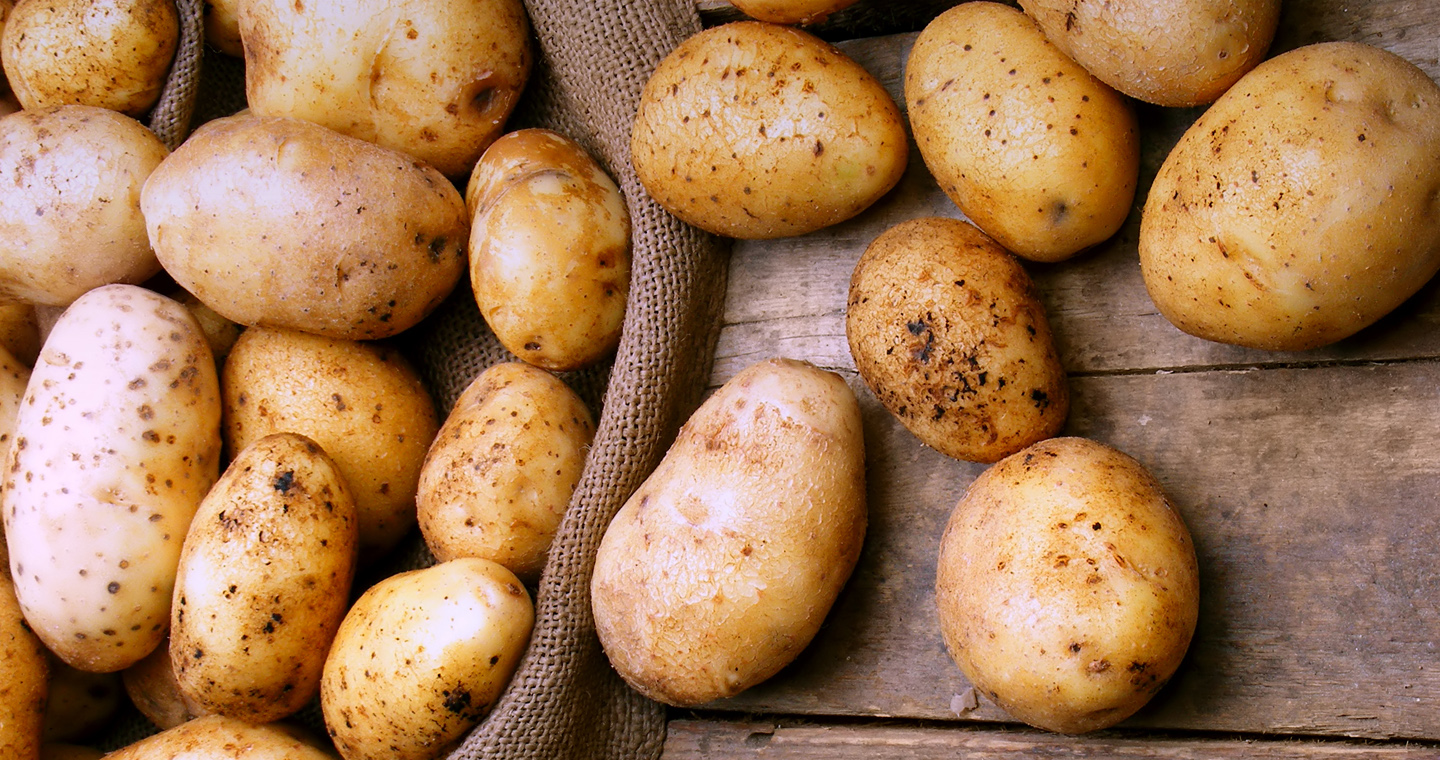 Посадка картофеля сдвоенными рядами